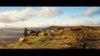 Pride & Prejudice screenshot 10
